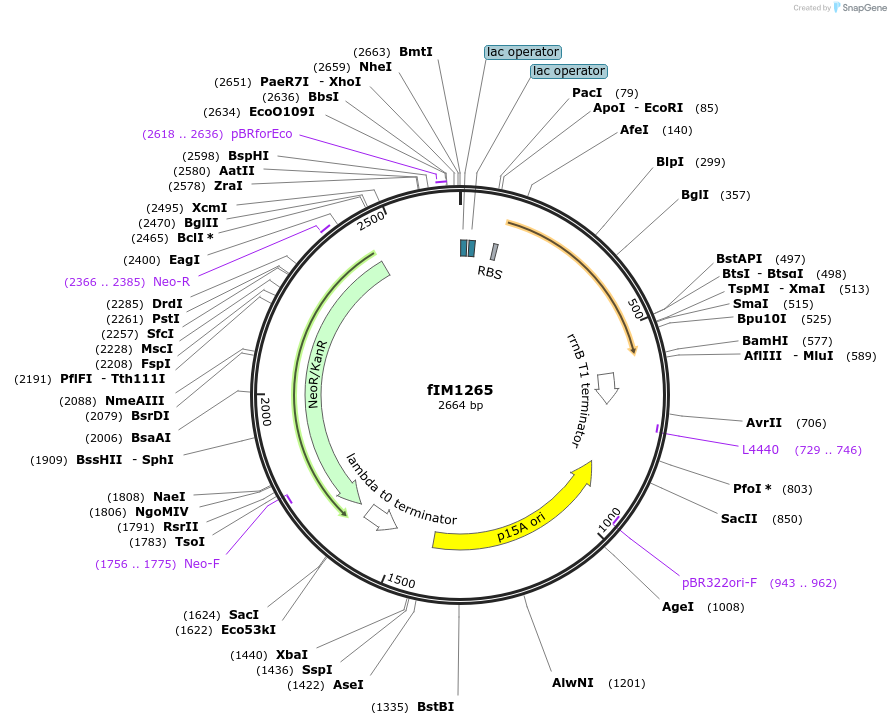 260797_map