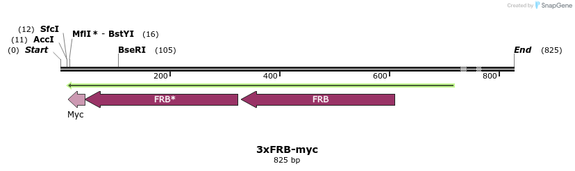 26080_map