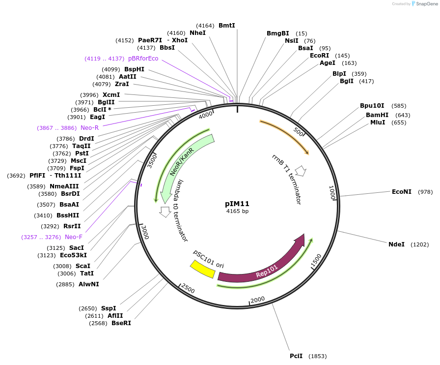 260802_map