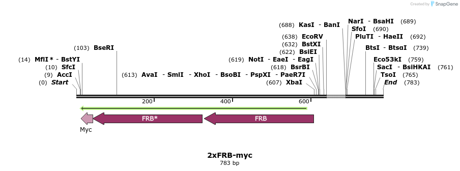 26081_map