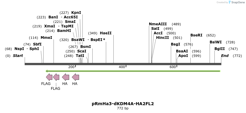 26086_map