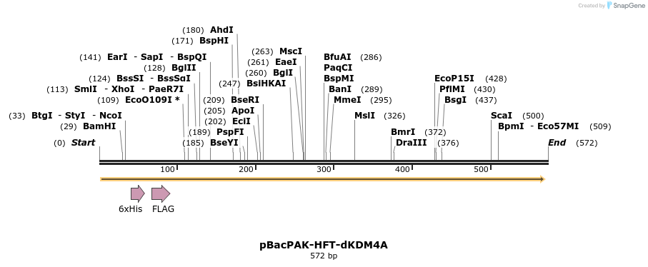 26087_map