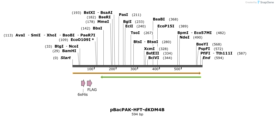 26088_map