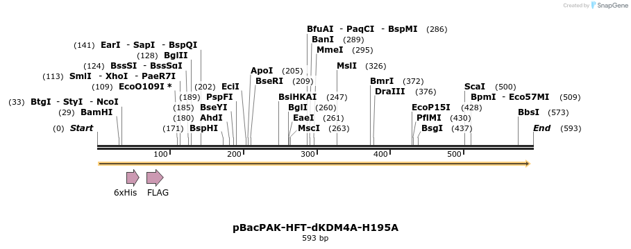 26090_map