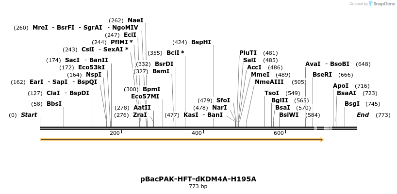 26091_map