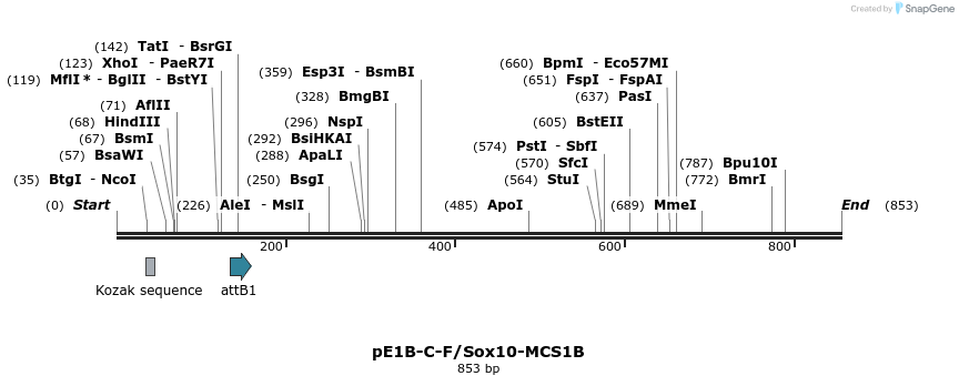 26093_map