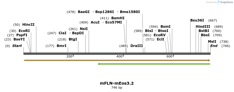 260935_map