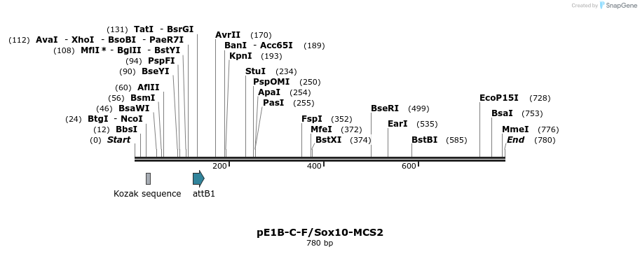 26095_map