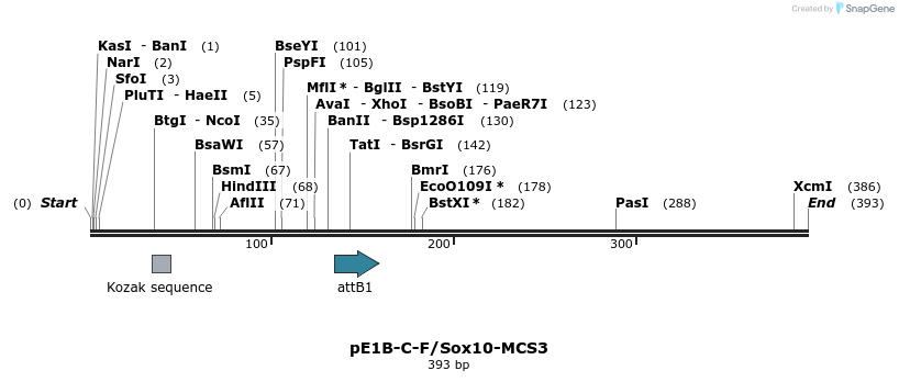 26096_map