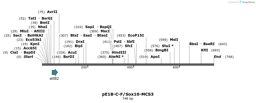 26097_map