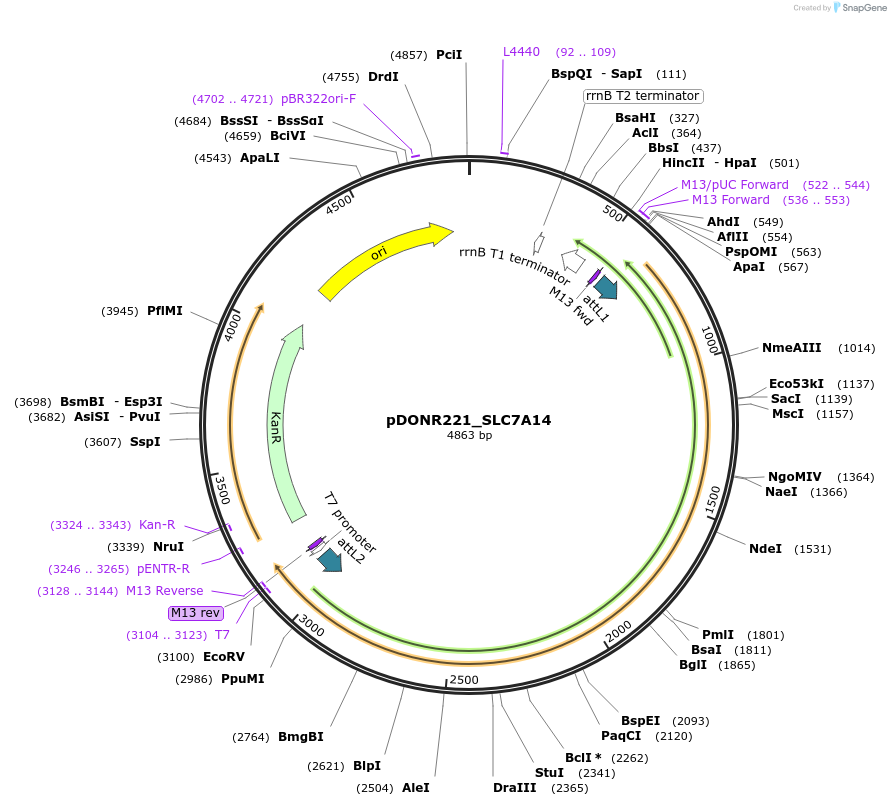 261005_map