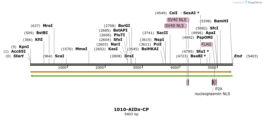 261016_map