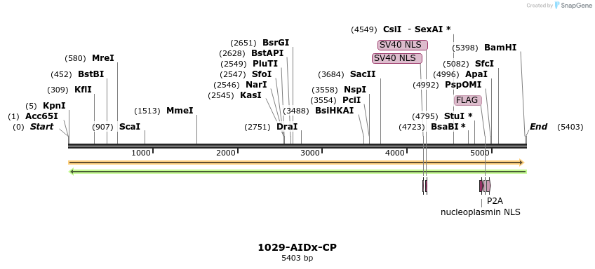 261017_map