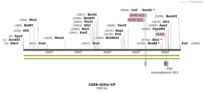 261018_map