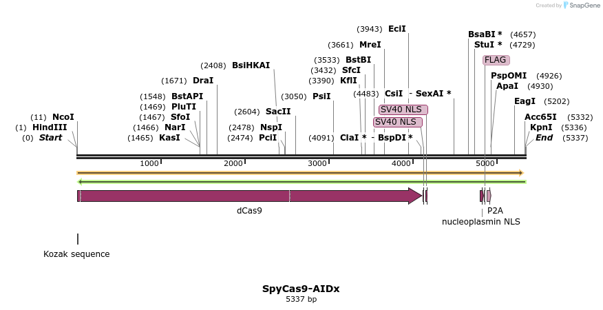 261019_map