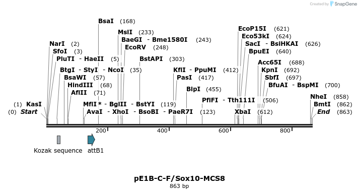 26102_map