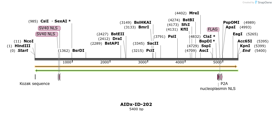 261020_map