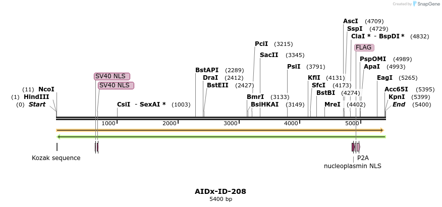 261021_map
