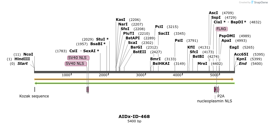 261022_map