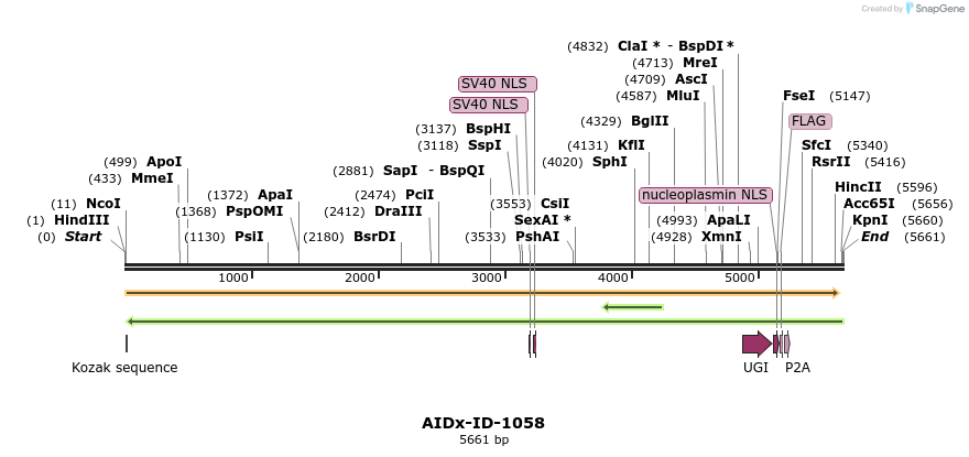 261023_map