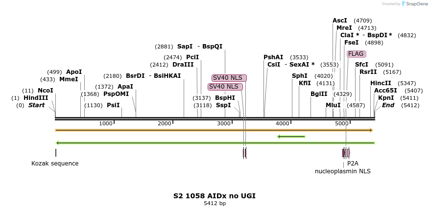 261025_map