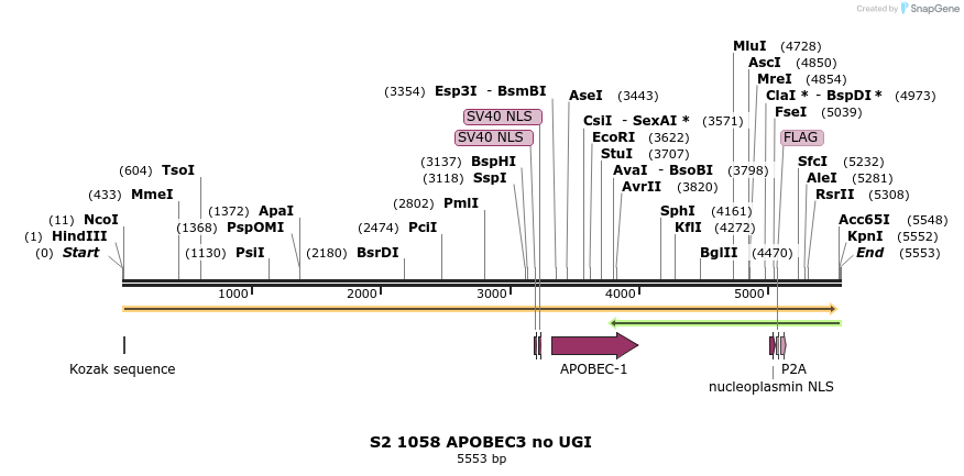 261026_map