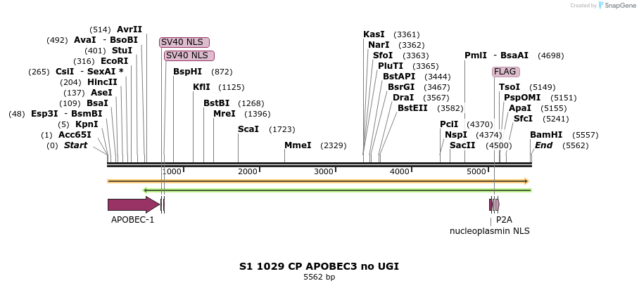 261028_map