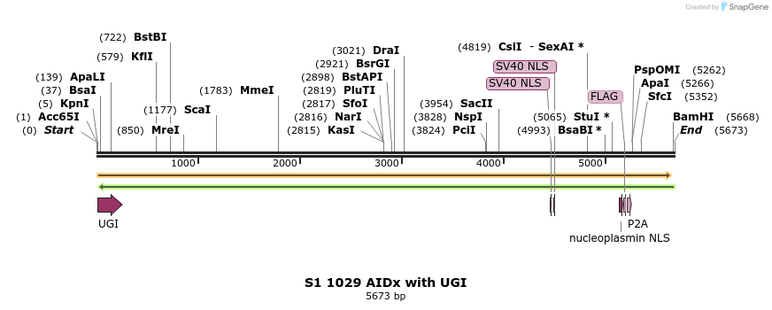 261030_map