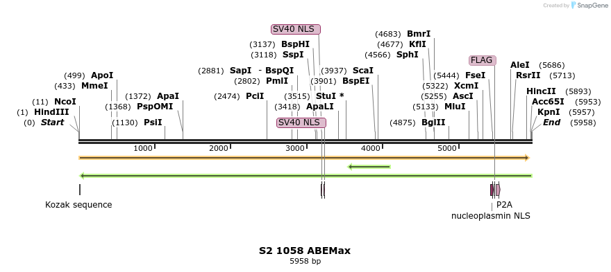 261032_map