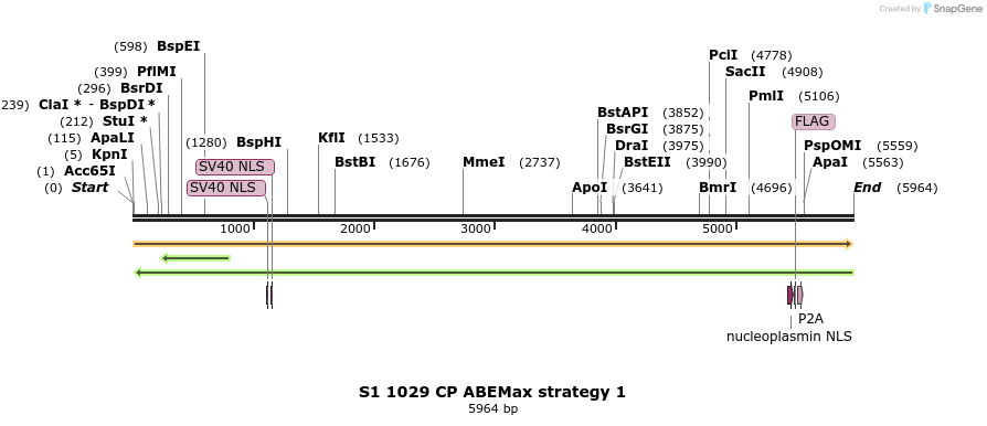 261033_map