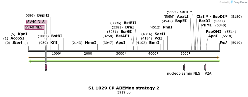 261034_map