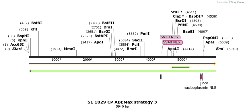 261035_map