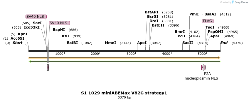 261036_map