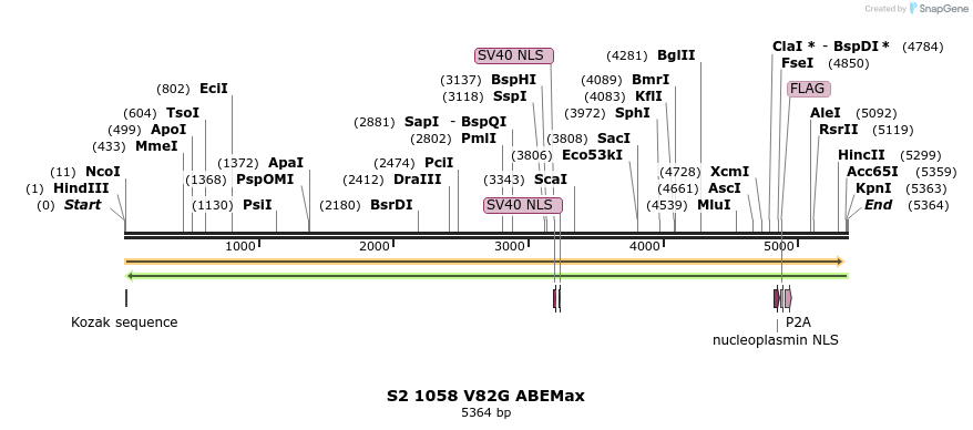 261037_map