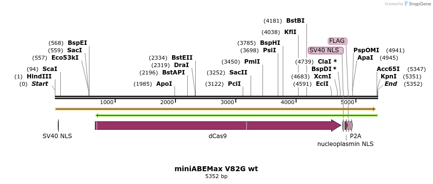 261038_map