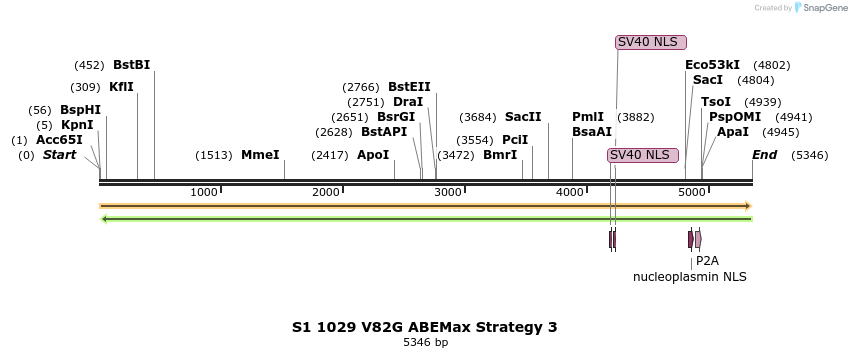 261039_map