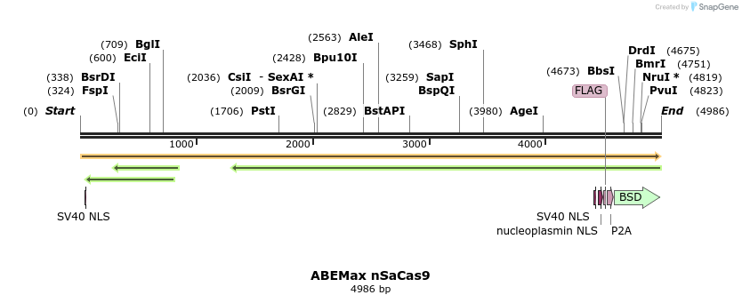 261040_map