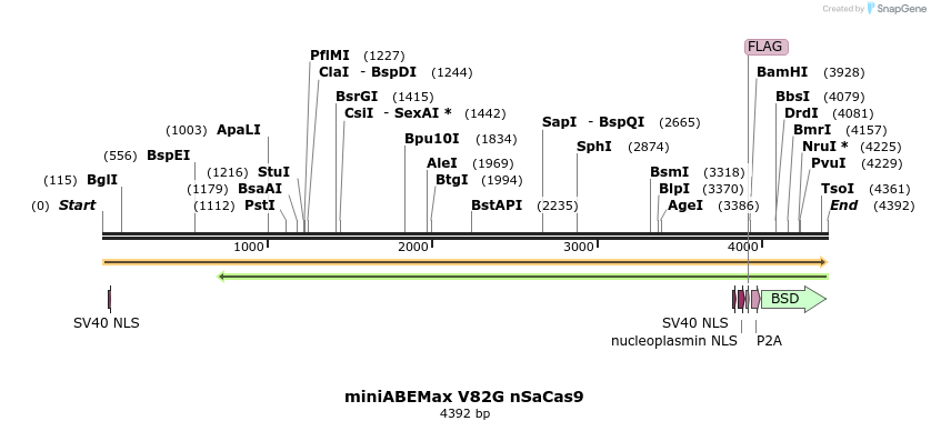 261041_map