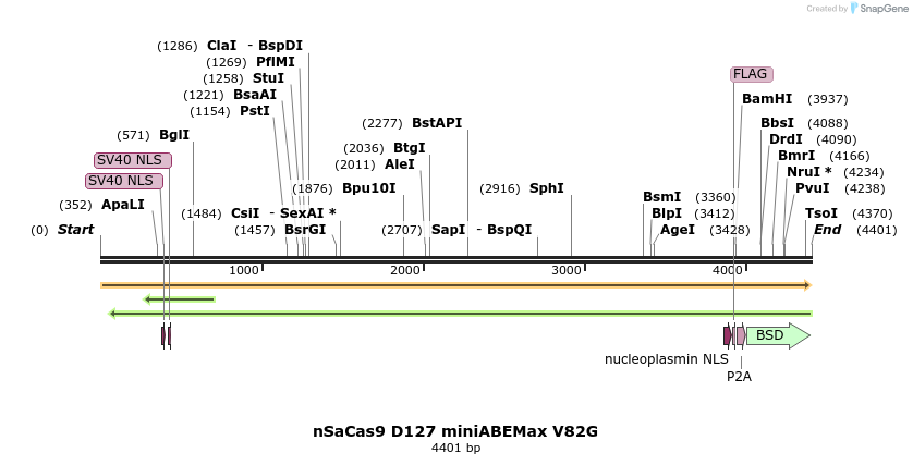 261042_map