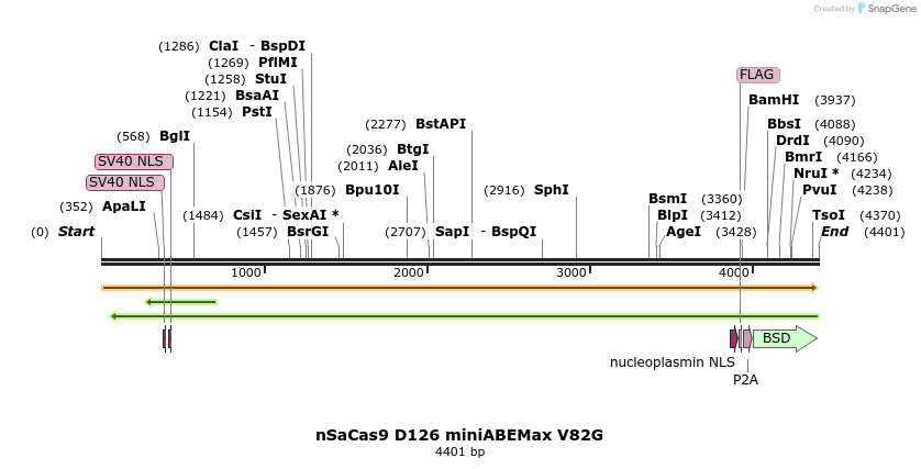 261043_map