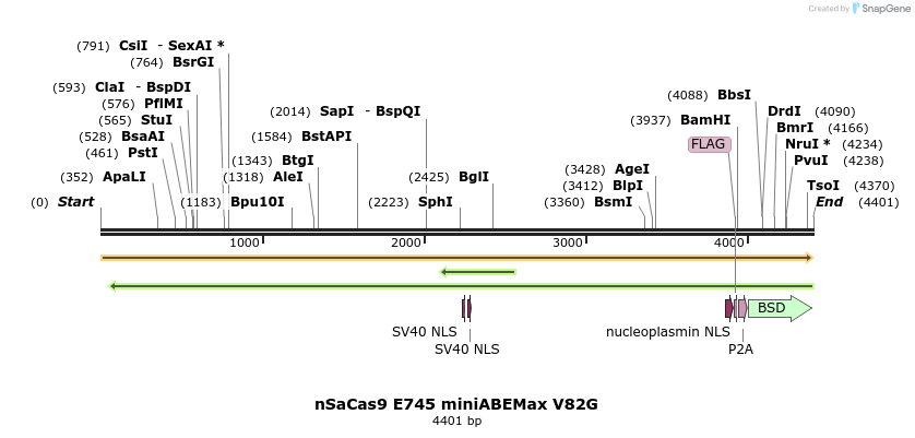 261046_map