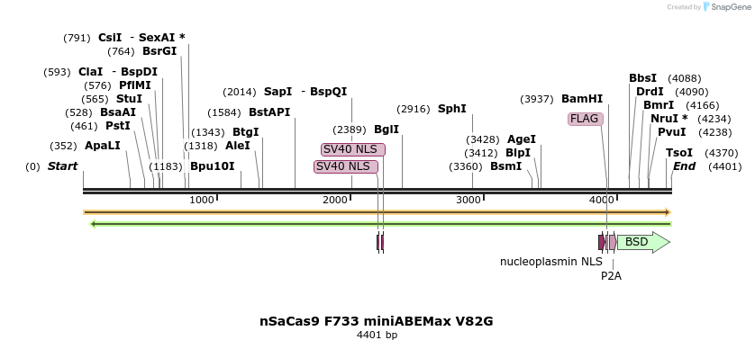 261047_map