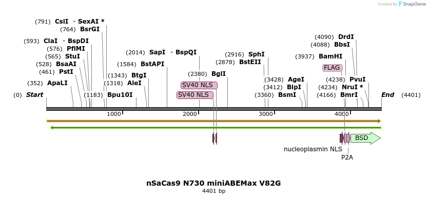 261048_map