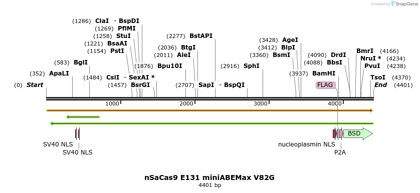 261050_map