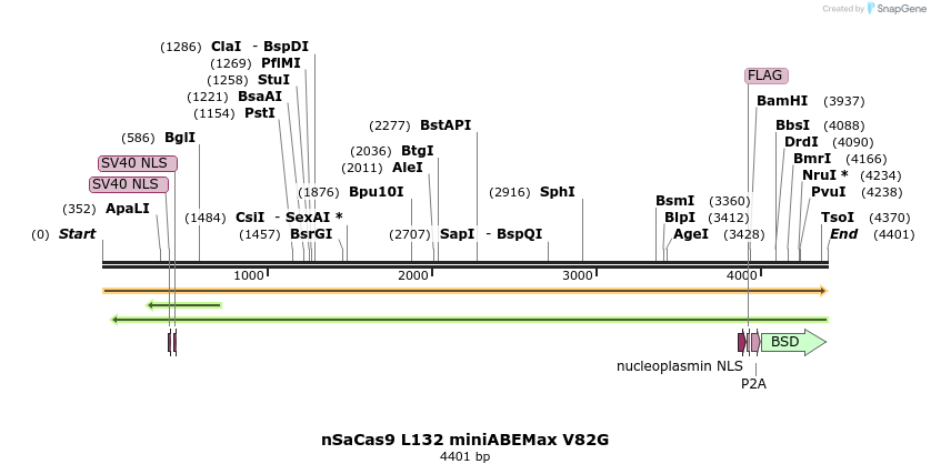 261051_map