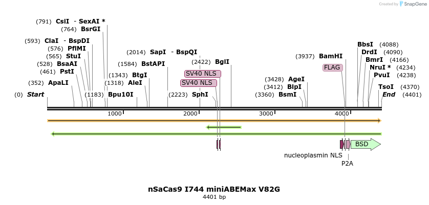 261055_map