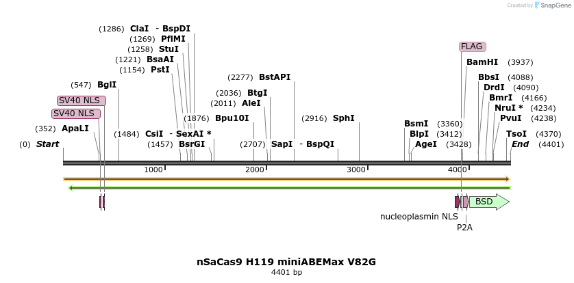 261057_map