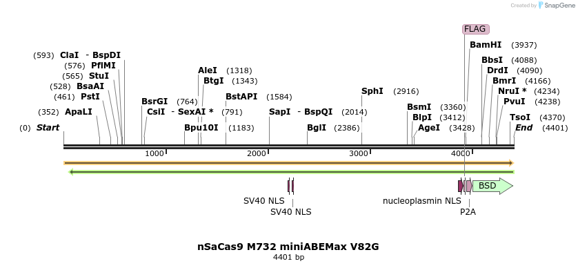 261058_map