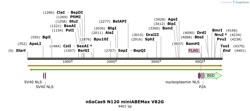 261060_map
