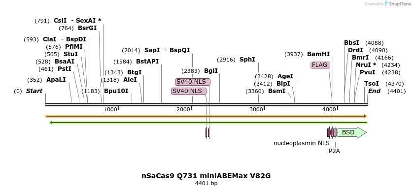 261062_map